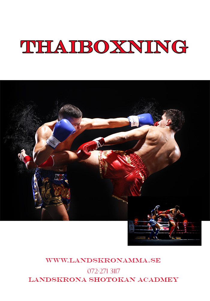 PLAKAT THAIBOXNING700