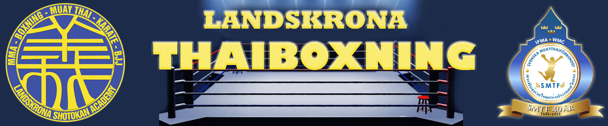 banner thaibox