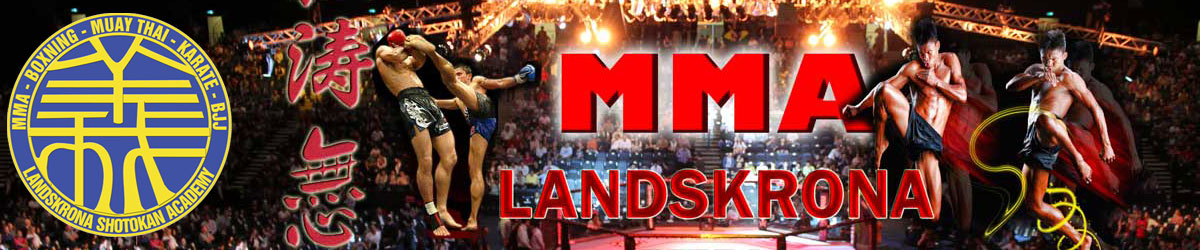banner mma