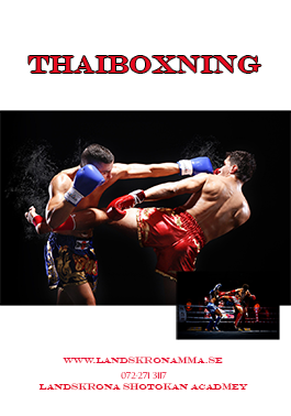 muaythai2024265